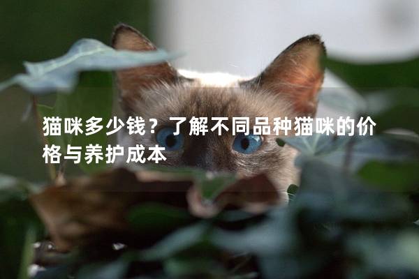 猫咪多少钱？了解不同品种猫咪的价格与养护成本