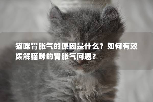 猫咪胃胀气的原因是什么？如何有效缓解猫咪的胃胀气问题？