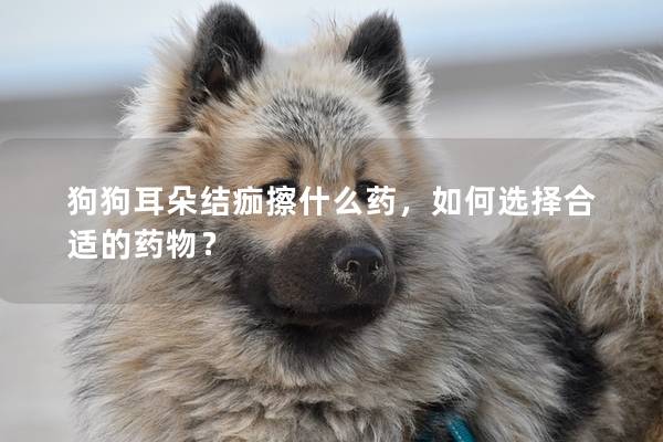 狗狗耳朵结痂擦什么药，如何选择合适的药物？