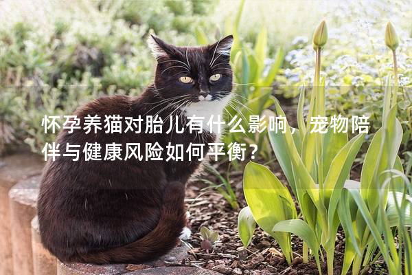 怀孕养猫对胎儿有什么影响，宠物陪伴与健康风险如何平衡？