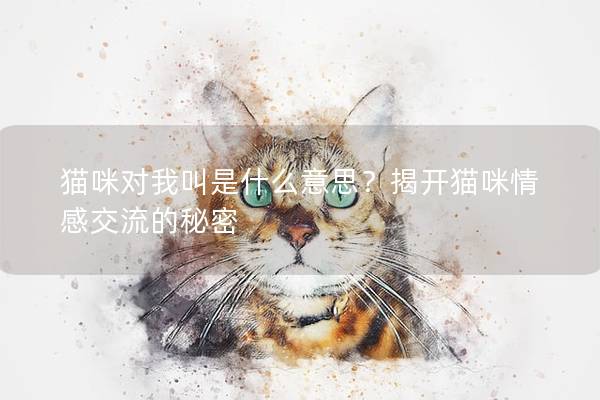 猫咪对我叫是什么意思？揭开猫咪情感交流的秘密