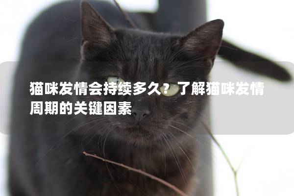 猫咪发情会持续多久？了解猫咪发情周期的关键因素