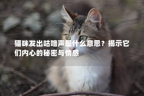 猫咪发出咕噜声是什么意思？揭示它们内心的秘密与情感