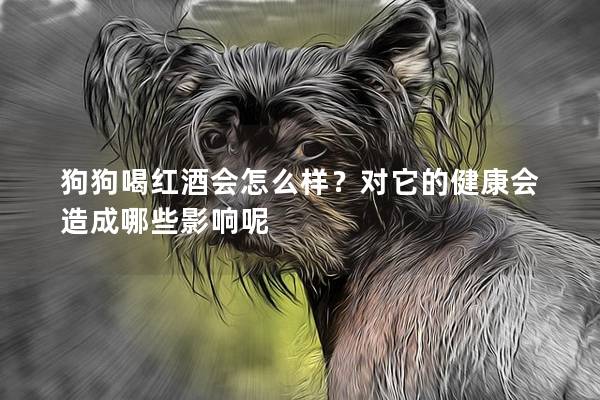 狗狗喝红酒会怎么样？对它的健康会造成哪些影响呢