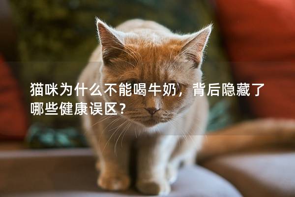 猫咪为什么不能喝牛奶，背后隐藏了哪些健康误区？