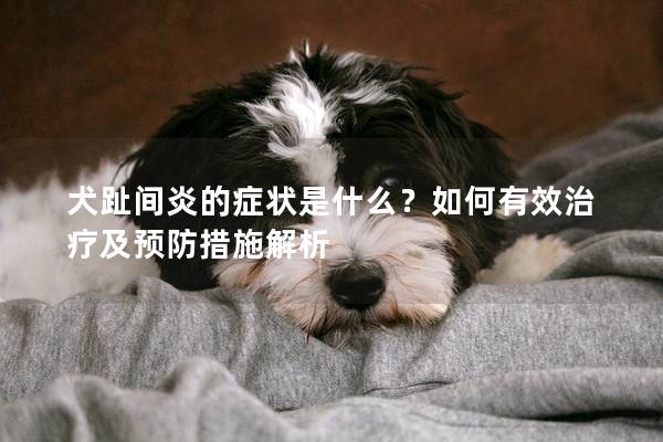 犬趾间炎的症状是什么？如何有效治疗及预防措施解析