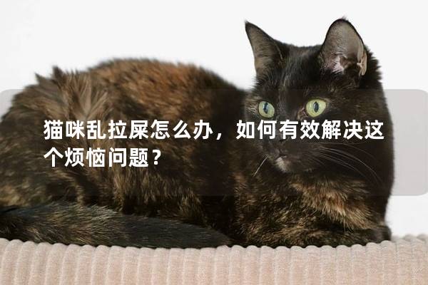 猫咪乱拉屎怎么办，如何有效解决这个烦恼问题？