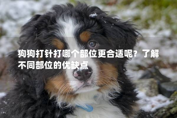 狗狗打针打哪个部位更合适呢？了解不同部位的优缺点