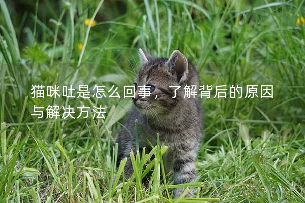 猫咪吐是怎么回事，了解背后的原因与解决方法