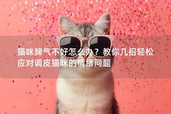 猫咪脾气不好怎么办？教你几招轻松应对调皮猫咪的情绪问题