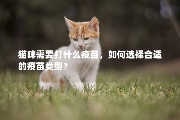 猫咪需要打什么疫苗，如何选择合适的疫苗类型？