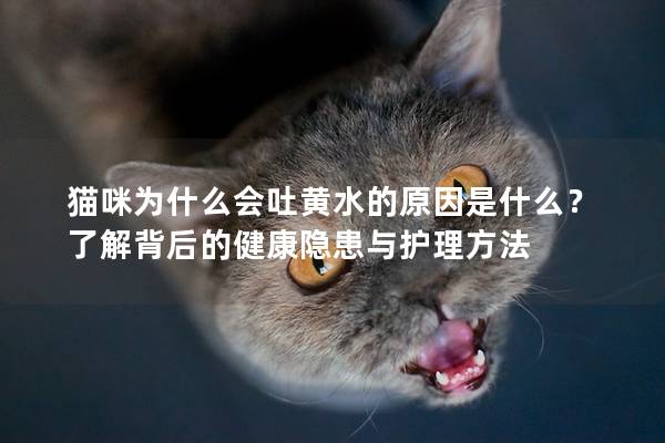 猫咪为什么会吐黄水的原因是什么？了解背后的健康隐患与护理方法