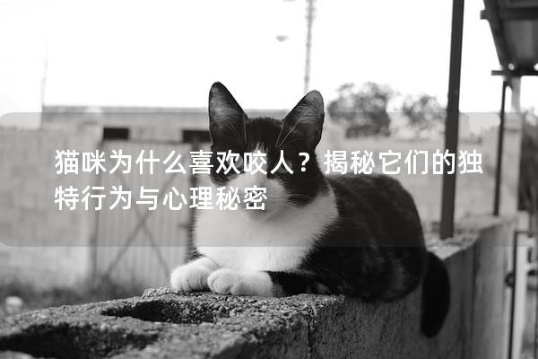 猫咪为什么喜欢咬人？揭秘它们的独特行为与心理秘密