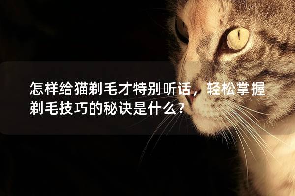 怎样给猫剃毛才特别听话，轻松掌握剃毛技巧的秘诀是什么？