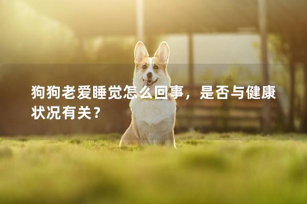 狗狗老爱睡觉怎么回事，是否与健康状况有关？