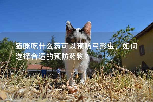 猫咪吃什么药可以预防弓形虫，如何选择合适的预防药物？