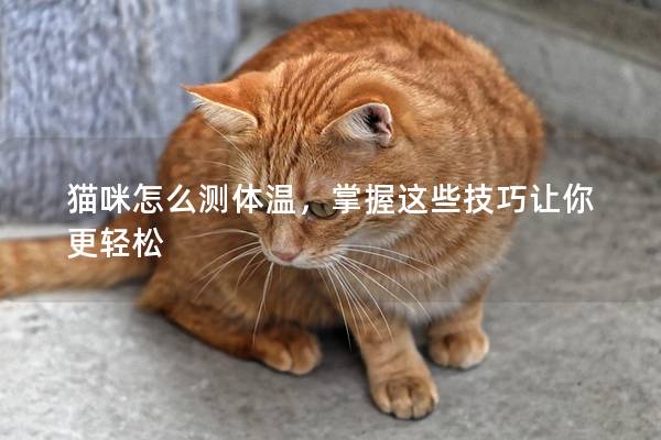 猫咪怎么测体温，掌握这些技巧让你更轻松