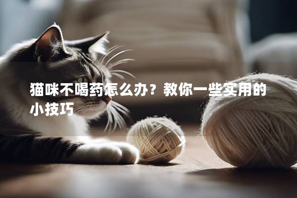 猫咪不喝药怎么办？教你一些实用的小技巧