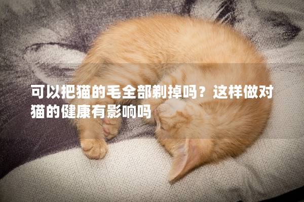 可以把猫的毛全部剃掉吗？这样做对猫的健康有影响吗