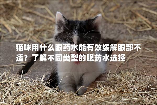 猫咪用什么眼药水能有效缓解眼部不适？了解不同类型的眼药水选择