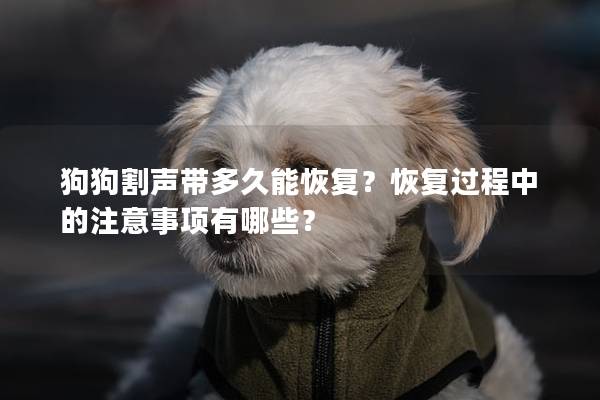 狗狗割声带多久能恢复？恢复过程中的注意事项有哪些？