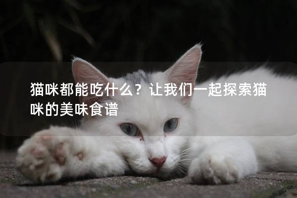 猫咪都能吃什么？让我们一起探索猫咪的美味食谱