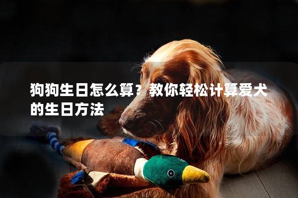 狗狗生日怎么算？教你轻松计算爱犬的生日方法