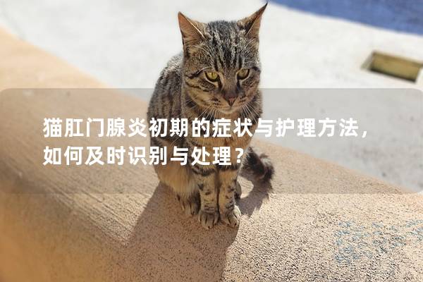 猫肛门腺炎初期的症状与护理方法，如何及时识别与处理？