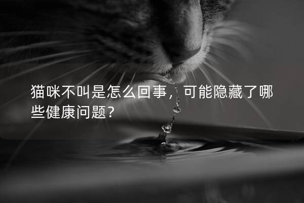 猫咪不叫是怎么回事，可能隐藏了哪些健康问题？