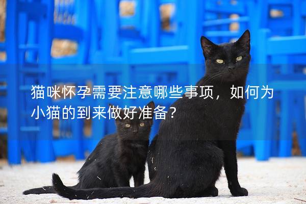 猫咪怀孕需要注意哪些事项，如何为小猫的到来做好准备？