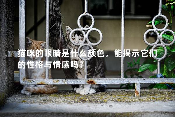 猫咪的眼睛是什么颜色，能揭示它们的性格与情感吗？