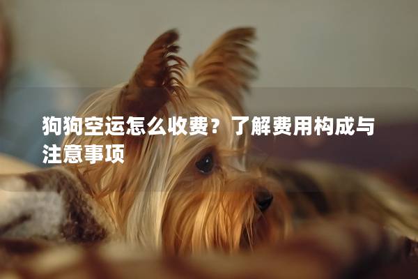 狗狗空运怎么收费？了解费用构成与注意事项