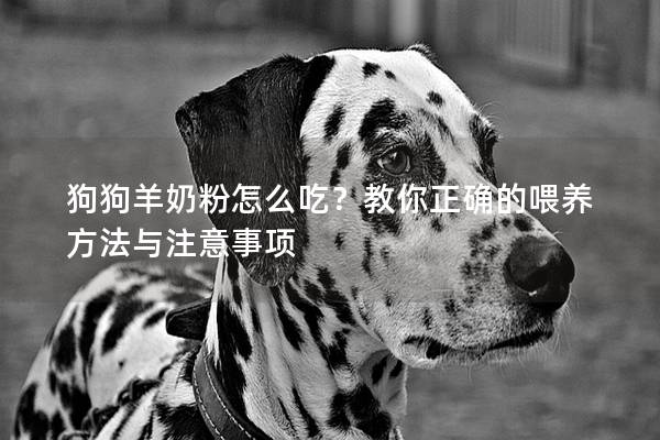 狗狗羊奶粉怎么吃？教你正确的喂养方法与注意事项