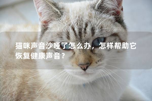 猫咪声音沙哑了怎么办，怎样帮助它恢复健康声音？