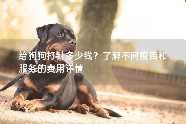 给狗狗打针多少钱？了解不同疫苗和服务的费用详情