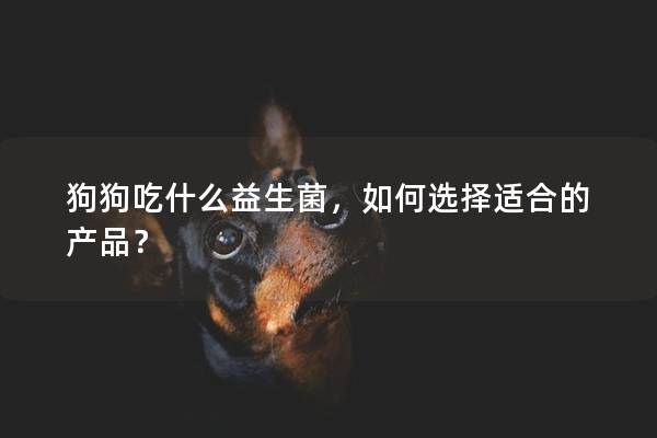 狗狗吃什么益生菌，如何选择适合的产品？