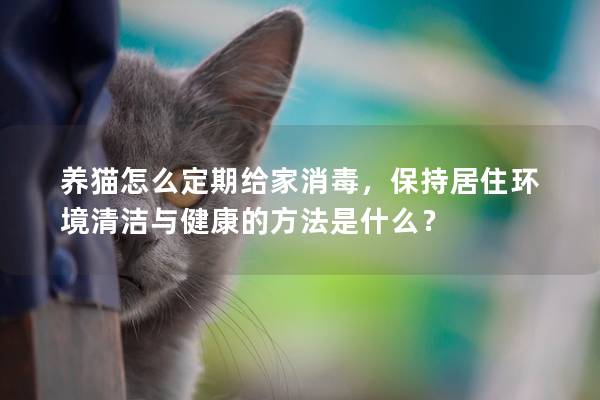 养猫怎么定期给家消毒，保持居住环境清洁与健康的方法是什么？