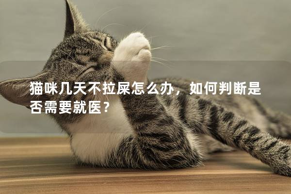 猫咪几天不拉屎怎么办，如何判断是否需要就医？