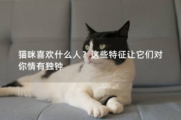 猫咪喜欢什么人？这些特征让它们对你情有独钟