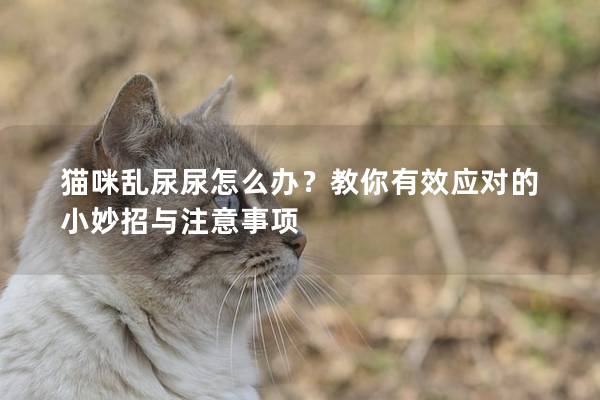 猫咪乱尿尿怎么办？教你有效应对的小妙招与注意事项