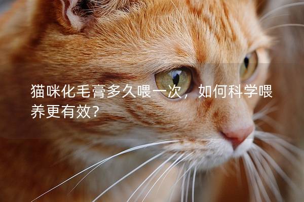 猫咪化毛膏多久喂一次，如何科学喂养更有效？