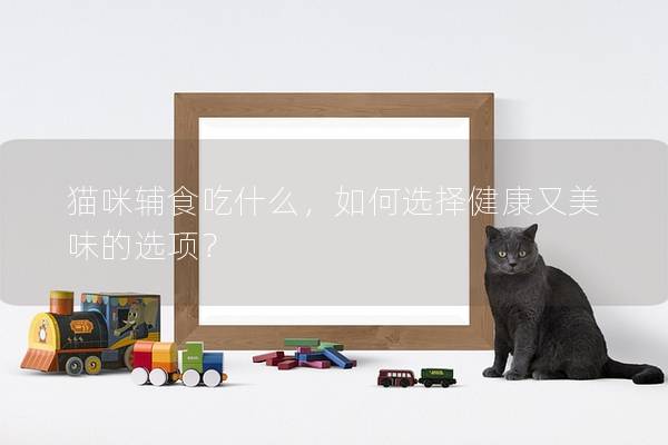 猫咪辅食吃什么，如何选择健康又美味的选项？