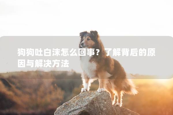 狗狗吐白沫怎么回事？了解背后的原因与解决方法