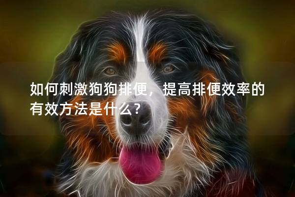 如何刺激狗狗排便，提高排便效率的有效方法是什么？