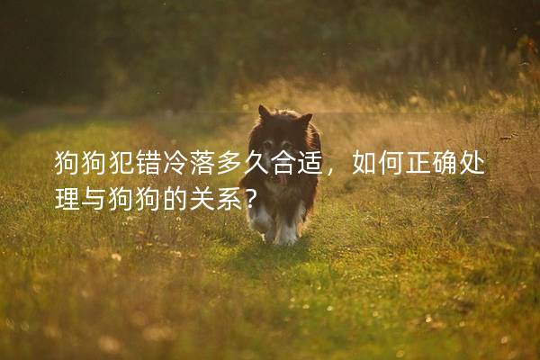 狗狗犯错冷落多久合适，如何正确处理与狗狗的关系？