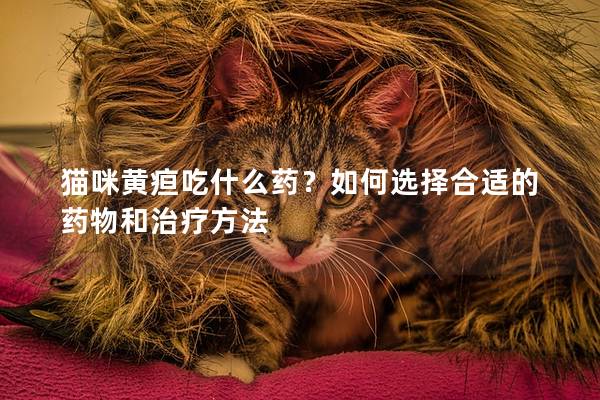 猫咪黄疸吃什么药？如何选择合适的药物和治疗方法