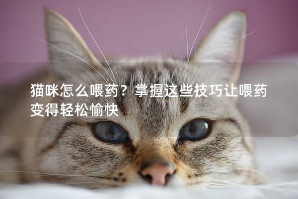 猫咪怎么喂药？掌握这些技巧让喂药变得轻松愉快