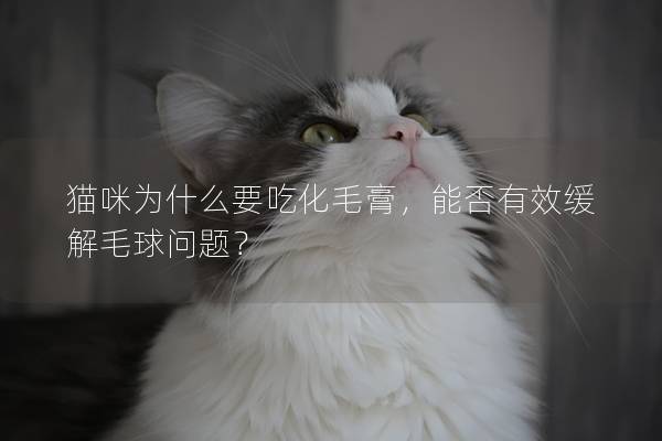 猫咪为什么要吃化毛膏，能否有效缓解毛球问题？