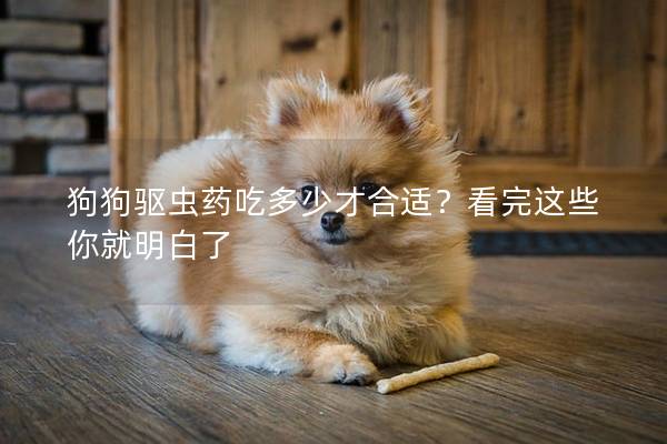 狗狗驱虫药吃多少才合适？看完这些你就明白了