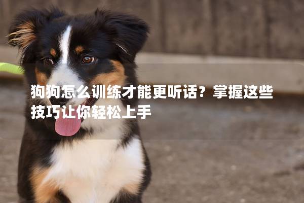 狗狗怎么训练才能更听话？掌握这些技巧让你轻松上手